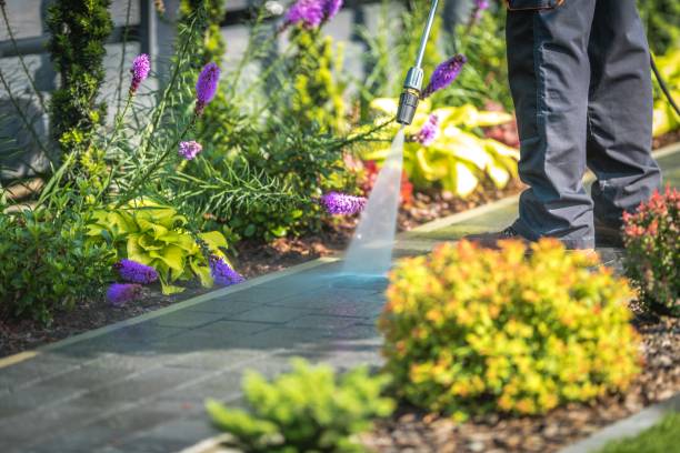 Trusted Antwerp, OH Pressure Washing Services Experts