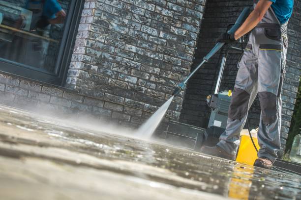Best Gutter Cleaning  in Antwerp, OH