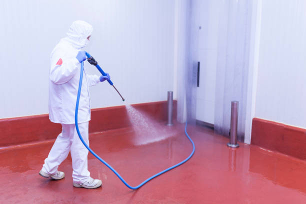 Best Patio and Deck Pressure Washing  in Antwerp, OH