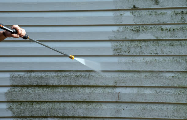Pre-Holiday Cleaning in Antwerp, OH